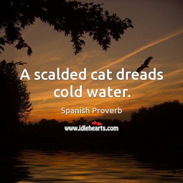 A scalded cat dreads cold water. Spanish Proverbs Image
