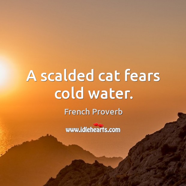 A scalded cat fears cold water. French Proverbs Image