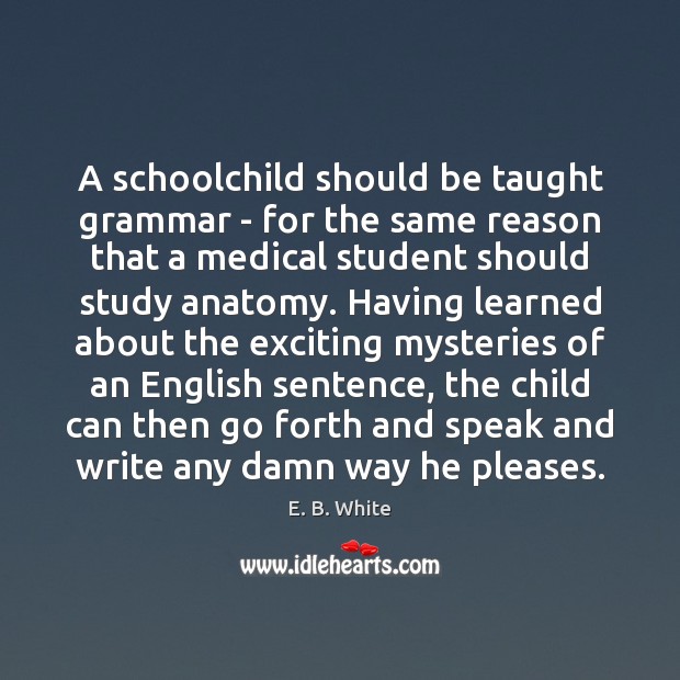 A schoolchild should be taught grammar – for the same reason that E. B. White Picture Quote