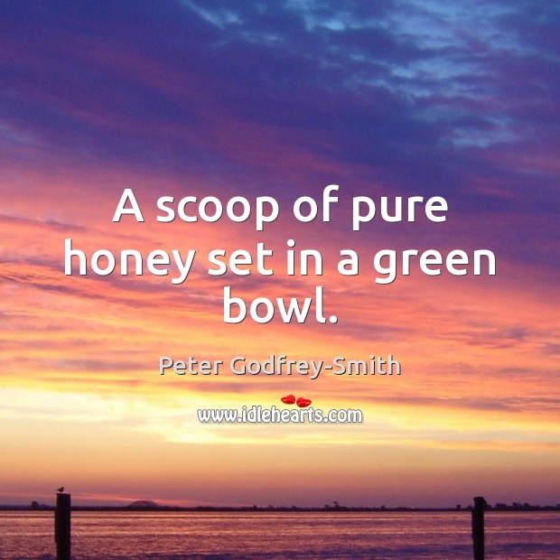 A scoop of pure honey set in a green bowl. Image