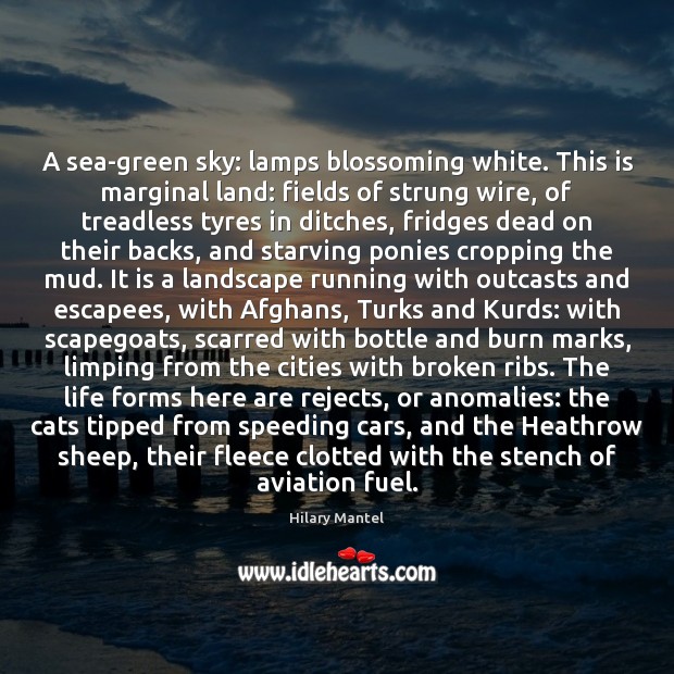 A sea-green sky: lamps blossoming white. This is marginal land: fields of 