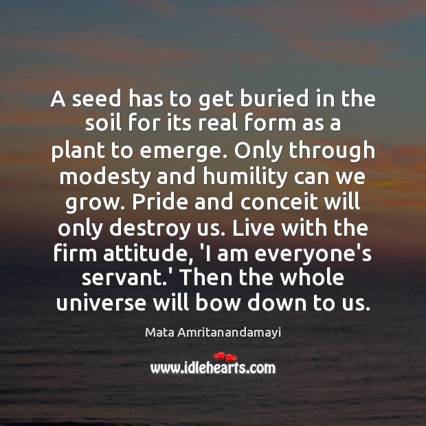 A seed has to get buried in the soil for its real Image