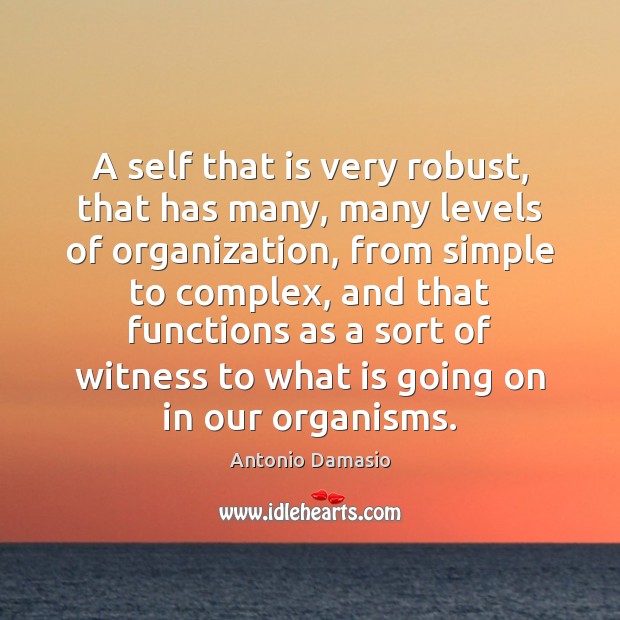 A self that is very robust, that has many, many levels of Antonio Damasio Picture Quote