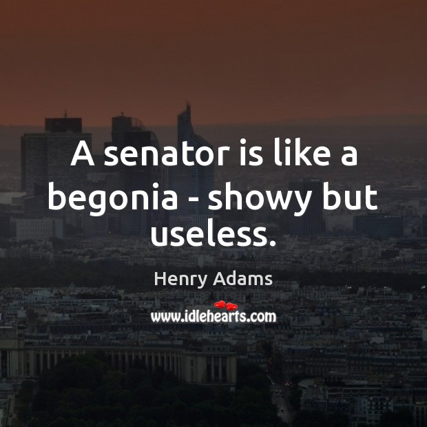 A senator is like a begonia – showy but useless. Henry Adams Picture Quote