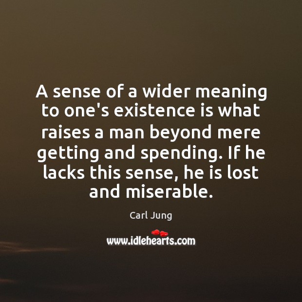 A sense of a wider meaning to one’s existence is what raises Carl Jung Picture Quote