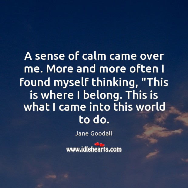 A sense of calm came over me. More and more often I Jane Goodall Picture Quote
