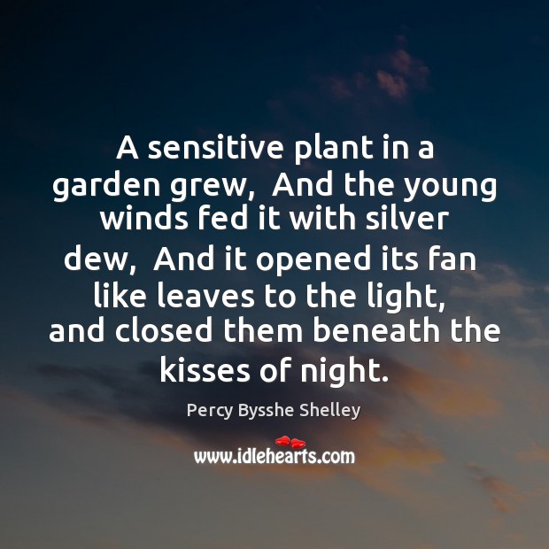 A sensitive plant in a garden grew,  And the young winds fed Percy Bysshe Shelley Picture Quote