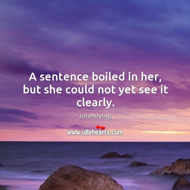 A sentence boiled in her, but she could not yet see it clearly. John Irving Picture Quote