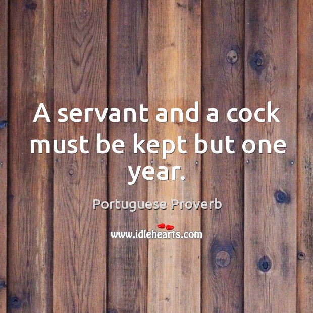 A servant and a cock must be kept but one year. Portuguese Proverbs Image