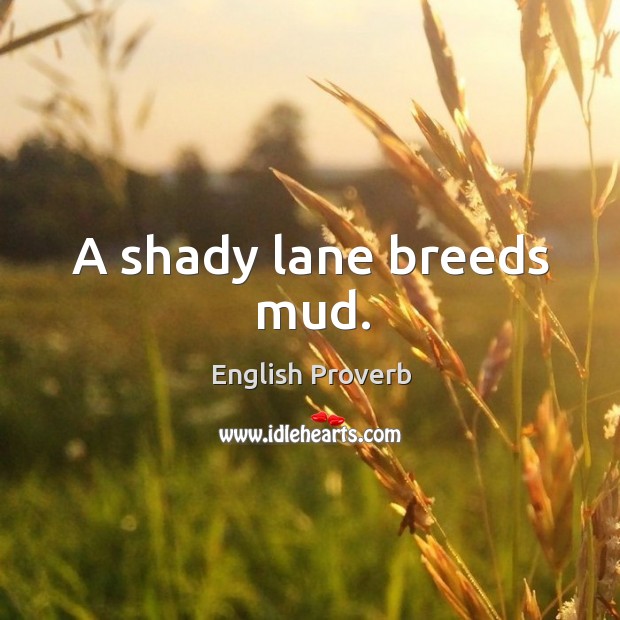 A shady lane breeds mud. English Proverbs Image