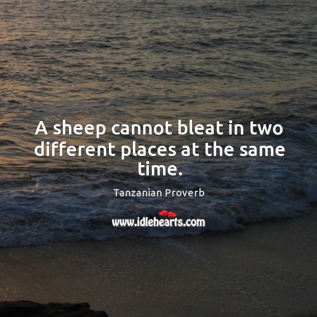 A sheep cannot bleat in two different places at the same time. Tanzanian Proverbs Image