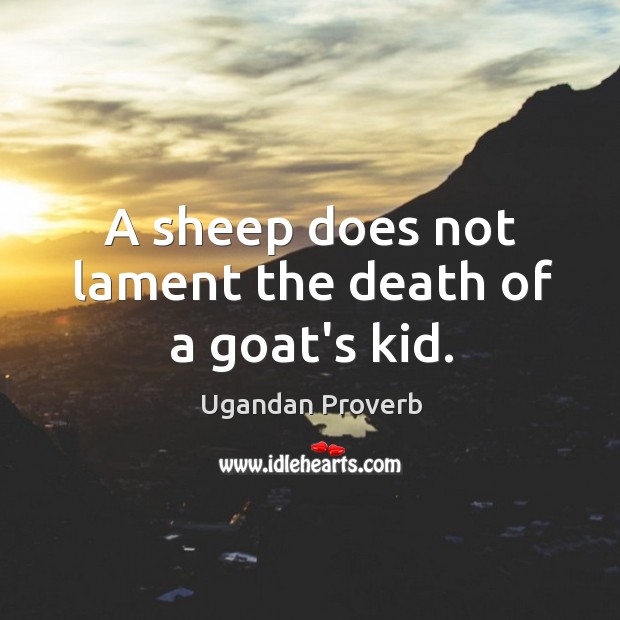 A sheep does not lament the death of a goat’s kid. Ugandan Proverbs Image