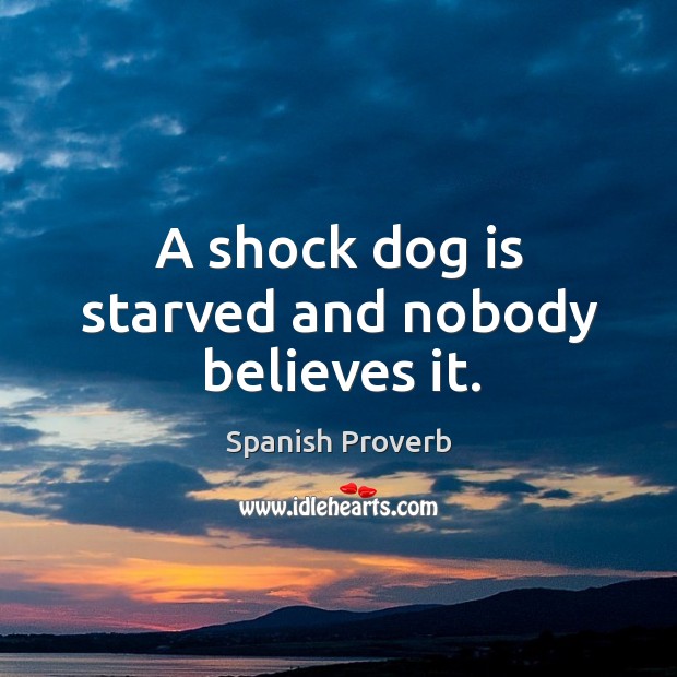 A shock dog is starved and nobody believes it. Spanish Proverbs Image