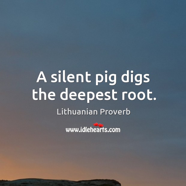 A silent pig digs the deepest root. Lithuanian Proverbs Image