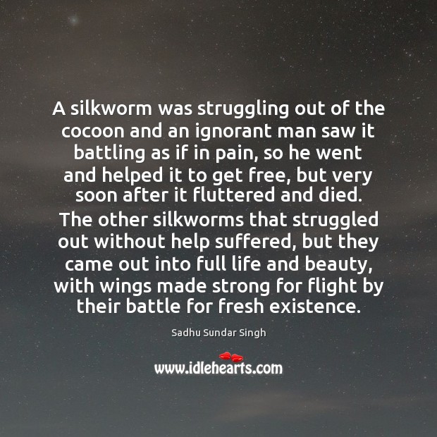 A silkworm was struggling out of the cocoon and an ignorant man Sadhu Sundar Singh Picture Quote