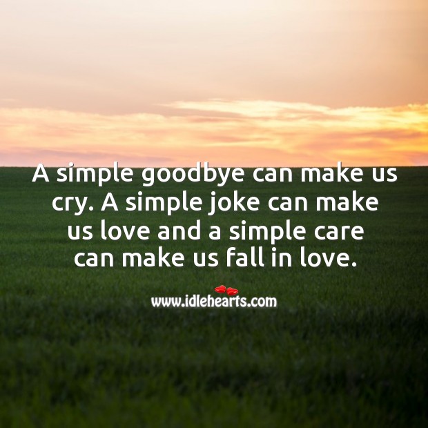 A simple goodbye can make us cry. A simple joke can make us love and a simple care can make us fall in love. Goodbye Quotes Image
