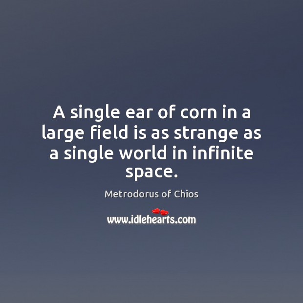 A single ear of corn in a large field is as strange as a single world in infinite space. Metrodorus of Chios Picture Quote