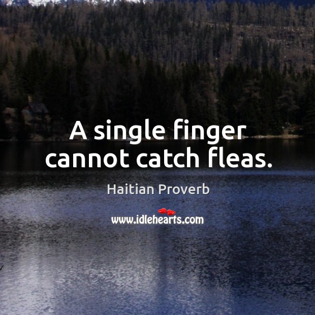 A single finger cannot catch fleas. Haitian Proverbs Image
