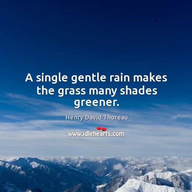 A single gentle rain makes the grass many shades greener. Image