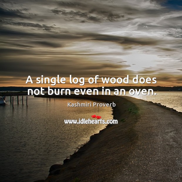 A single log of wood does not burn even in an oven. Kashmiri Proverbs Image