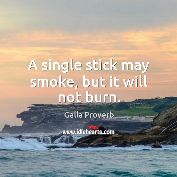 A single stick may smoke, but it will not burn. Galla Proverbs Image