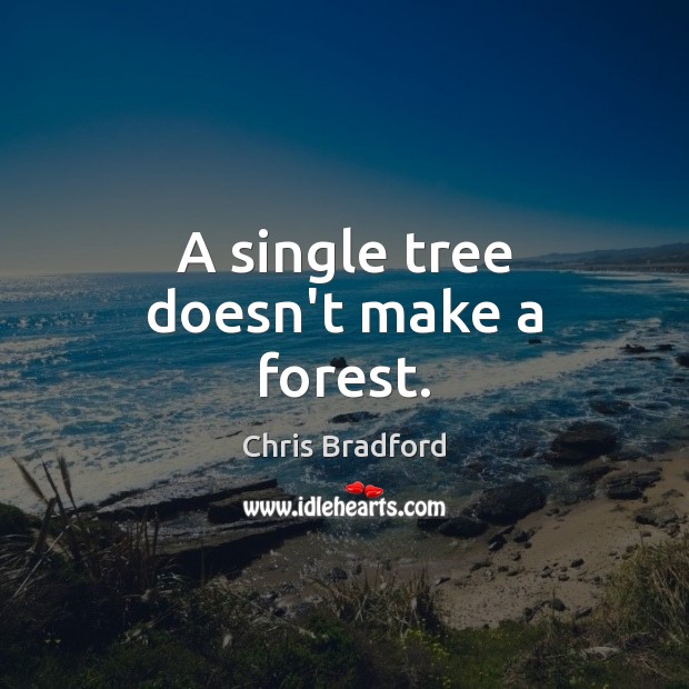 A single tree doesn’t make a forest. Chris Bradford Picture Quote