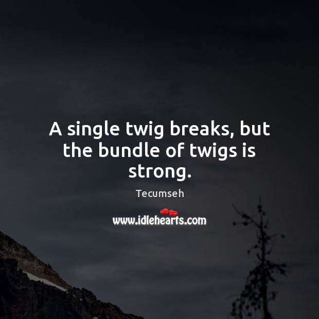 A single twig breaks, but the bundle of twigs is strong. Tecumseh Picture Quote