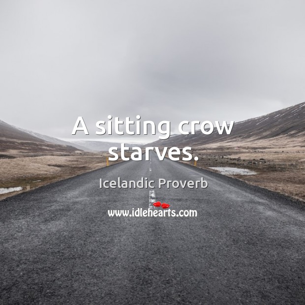 A sitting crow starves. Icelandic Proverbs Image