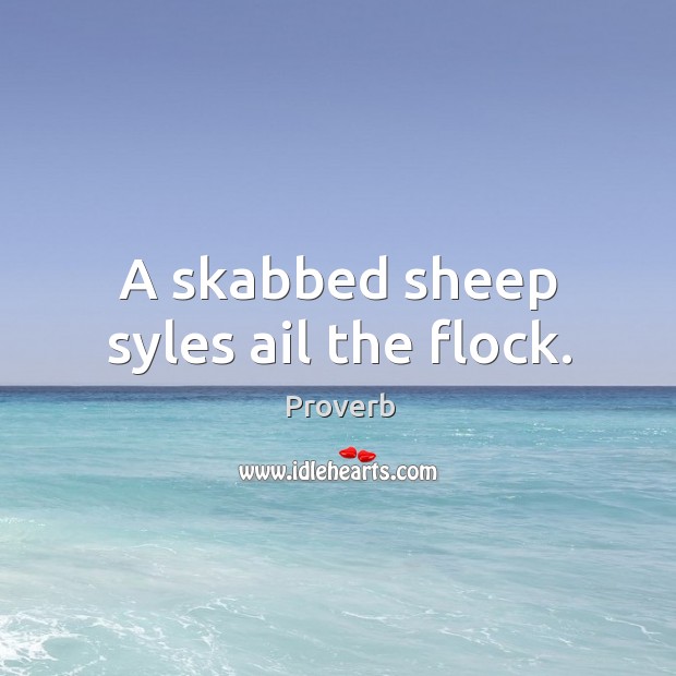A skabbed sheep syles ail the flock. Image