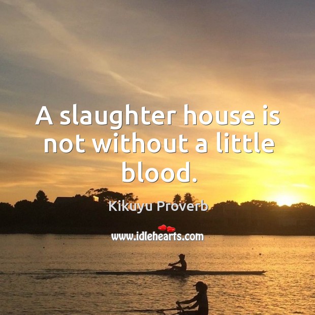A slaughter house is not without a little blood. Kikuyu Proverbs Image
