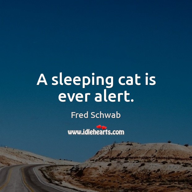 A sleeping cat is ever alert. Image