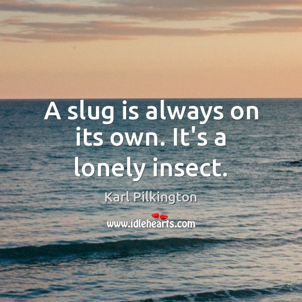 A slug is always on its own. It’s a lonely insect. Karl Pilkington Picture Quote