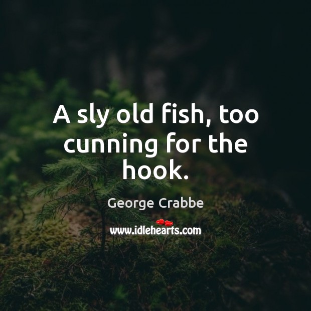A sly old fish, too cunning for the hook. George Crabbe Picture Quote