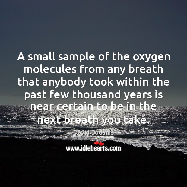 A small sample of the oxygen molecules from any breath that anybody David Bodanis Picture Quote