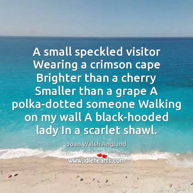 A small speckled visitor Wearing a crimson cape Brighter than a cherry Joan Walsh Anglund Picture Quote