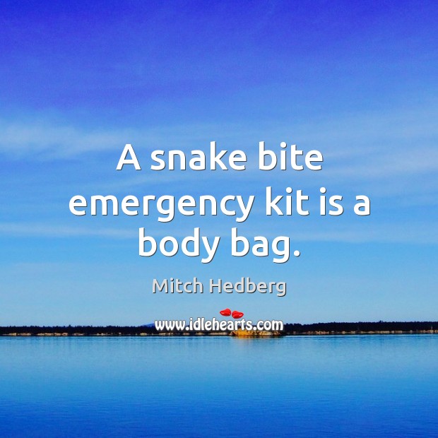A snake bite emergency kit is a body bag. Image