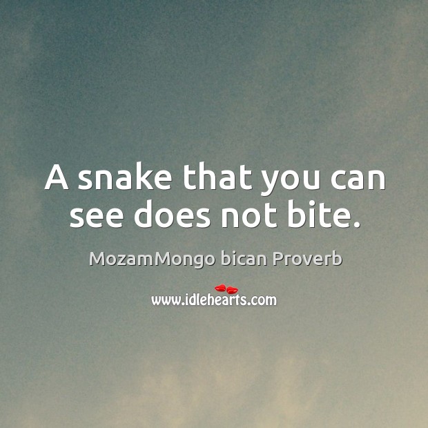 A snake that you can see does not bite. MozamMongo bican Proverbs Image