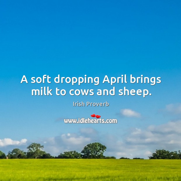 A soft dropping april brings milk to cows and sheep. Irish Proverbs Image