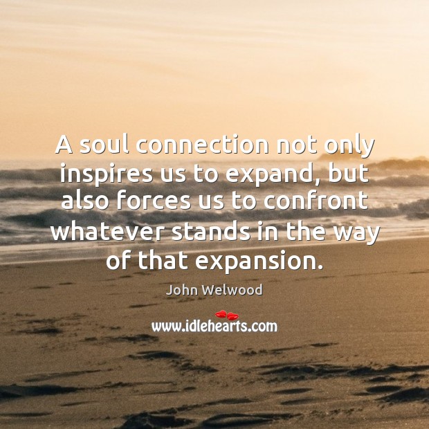 A soul connection not only inspires us to expand, but also forces John Welwood Picture Quote