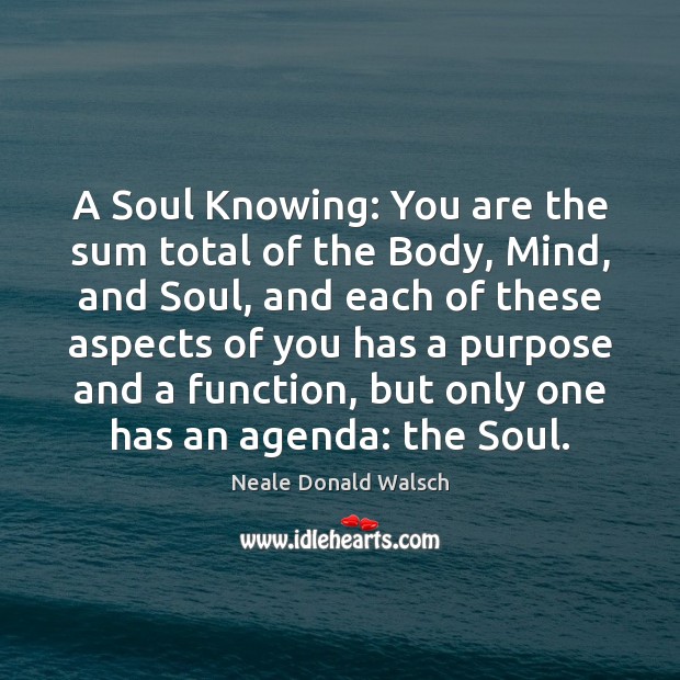 A Soul Knowing: You are the sum total of the Body, Mind, Neale Donald Walsch Picture Quote