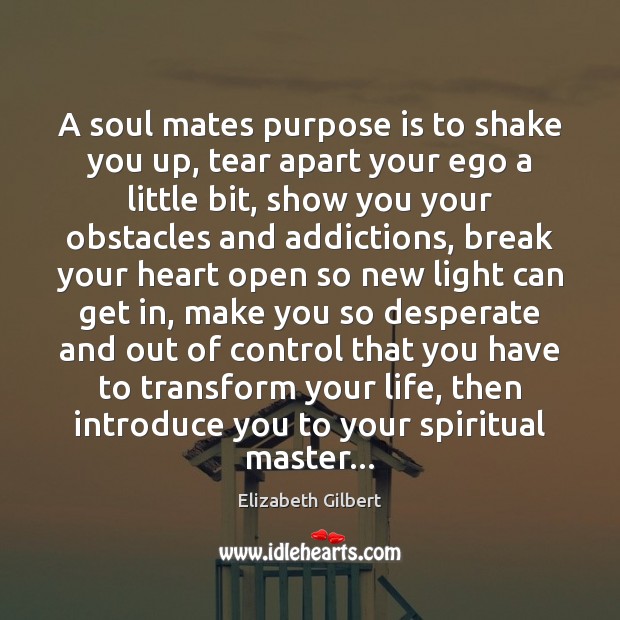 A soul mates purpose is to shake you up, tear apart your Image