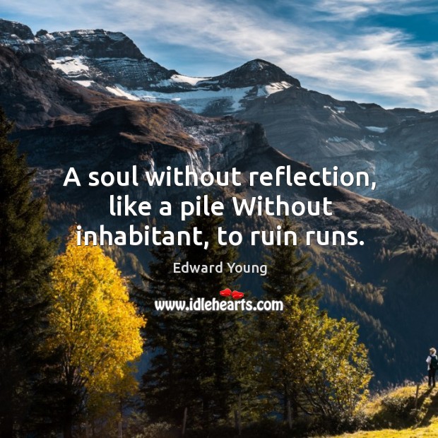 A soul without reflection, like a pile without inhabitant, to ruin runs. Edward Young Picture Quote