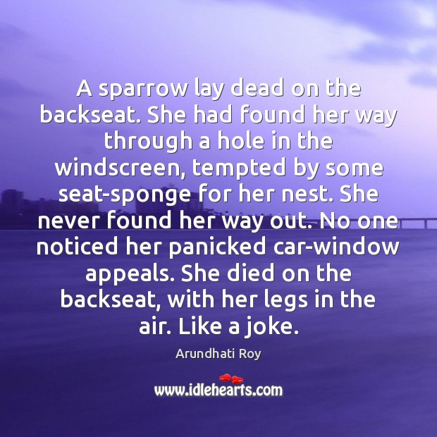 A sparrow lay dead on the backseat. She had found her way Arundhati Roy Picture Quote
