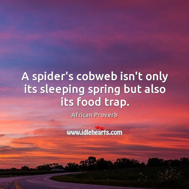 A spider’s cobweb isn’t only its sleeping spring but also its food trap. African Proverbs Image