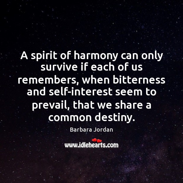 A spirit of harmony can only survive if each of us remembers, Image