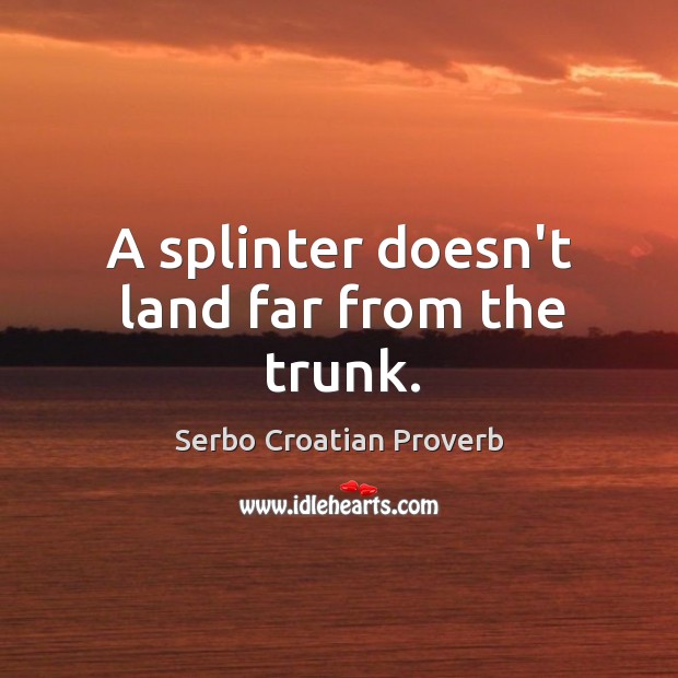 A splinter doesn’t land far from the trunk. Serbo Croatian Proverbs Image