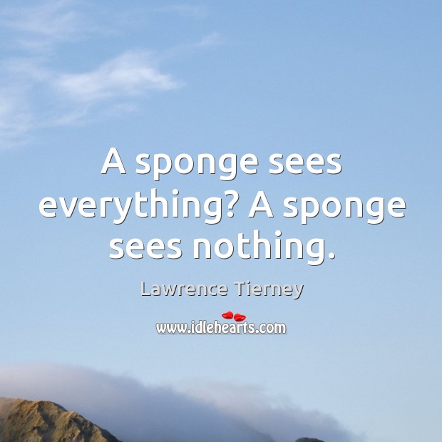 A sponge sees everything? a sponge sees nothing. Image