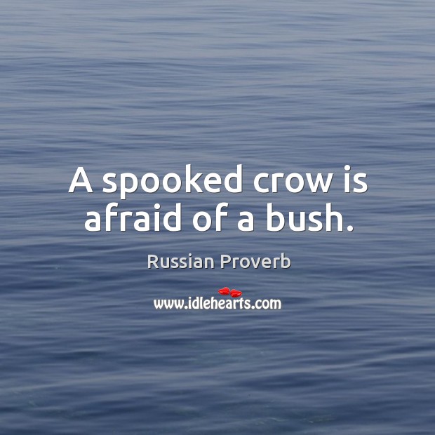 A spooked crow is afraid of a bush. Russian Proverbs Image