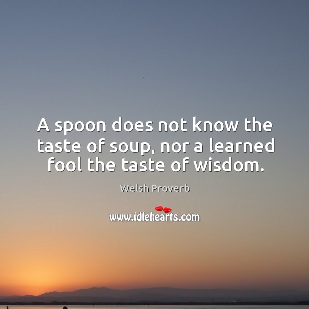 A spoon does not know the taste of soup, nor a learned fool the taste of wisdom. Welsh Proverbs Image