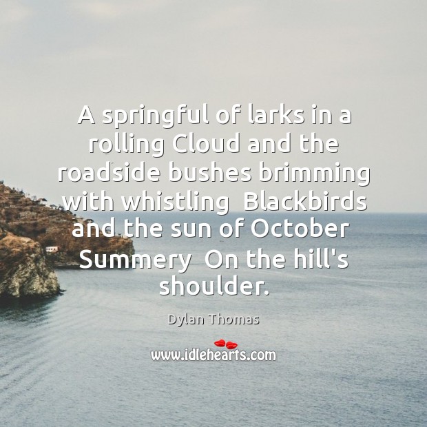 A springful of larks in a rolling Cloud and the roadside bushes Dylan Thomas Picture Quote